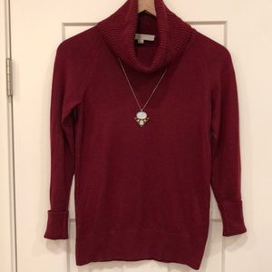 Berry turtle neck sweater